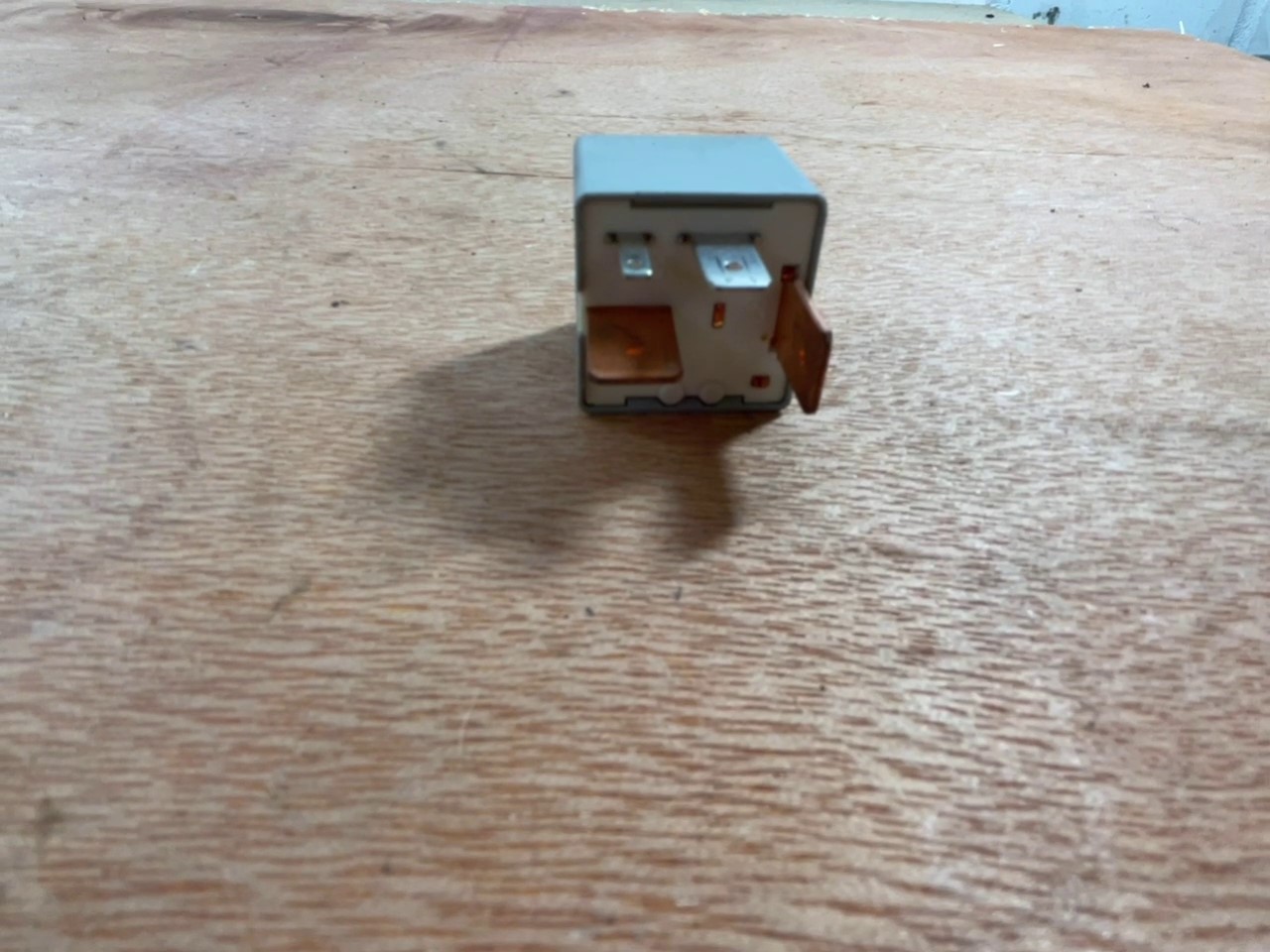 2022-01-26 130702.jpg